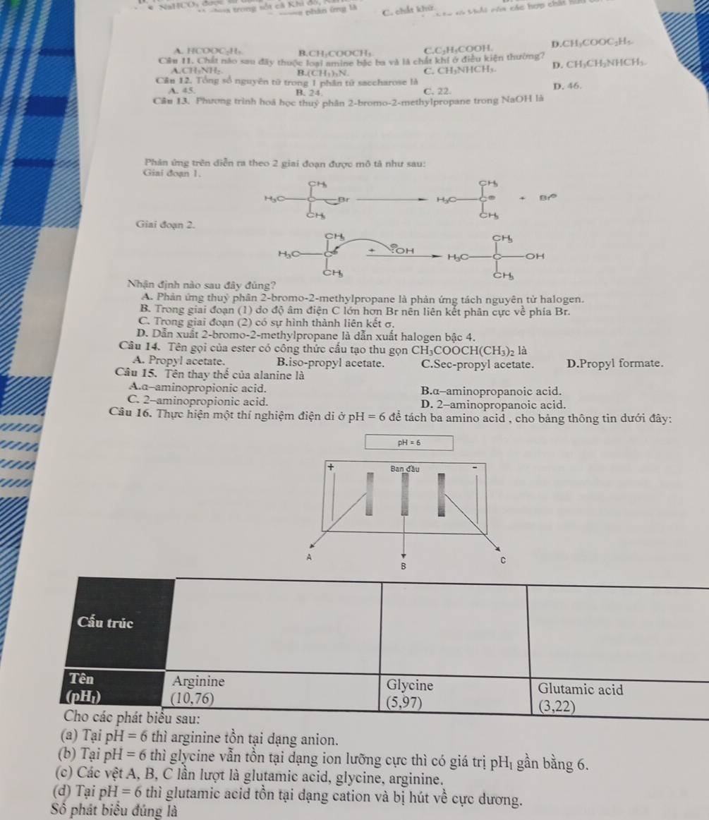 Noaa trong sốt cả Khi dó,
tó Mhải cóa các hợp chát nhu
=== phân ứng là C. chất khử.
A. HCOOC·H+ B.CH₂COOCH₁
C.C₂H₃COOH. D.CH₃COOC₃H₂
Cầu 11. Chất nào sau đây thuộc loại amine bắc ba và là chất khi ở điều kiện thường?
A.CH₂NH₂. D. CH₃CH₃NHCH₃
B. (CH_3)_3N
Cân 12. Tổng số nguyên từ trong 1 phần tử saccharose là C. CH₃NHCH₃. D. 46.
A. 45. B. 24. C. 22.
Cân I3. Phưong trình hoá học thuỷ phân 2-bromo-2-methylpropane trong NaOH là
Phản ứng trên diễn ra theo 2 giai đoạn được mô tả như sau:
Giai đoạn 1.
Giai đoạn 2.
Nhận định nào sau
A. Phân ứng thuỷ phân 2-bromo-2-methylpropane là phản ứng tách nguyên tử halogen.
B. Trong giai đoạn (1) do độ âm điện C lớn hơn Br nên liên kết phân cực về phía Br.
C. Trong giai đoạn (2) có sự hình thành liên kết σ.
D. Dẫn xuất 2-bromo-2-methylpropane là dẫn xuất halogen bậc 4.
Câu 14. Tên gọi của ester có công thức cấu tạo thu gọn CHy COOCH(CH_3)_2 là
A. Propyl acetate. B.iso-propyl acetate. C.Sec-propyl acetate. D.Propyl formate.
Câu 15. Tên thay thế của alanine là
A.d--aminopropionic acid. B.α-aminopropanoic acid.
C. 2-aminopropionic acid. D. 2-aminopropanoic acid.
Câu 16. Thực hiện một thí nghiệm điện di ở ph I=6 để tách ba amino acid , cho bảng thông tin dưới đây:
      
a
       
(a) Tại pH =6 thì arginine tồn tại dạng anion.
(b) Tại pH =6 thì glycine vẫn tồn tại dạng ion lưỡng cực thì có giá trị pHị gần bằng 6.
(c) Các vệt A, B, C lần lượt là glutamic acid, glycine, arginine.
(d) Tại pH=6 thì glutamic acid tồn tại dạng cation và bị hút về cực dương.
Số phát biểu đúng là