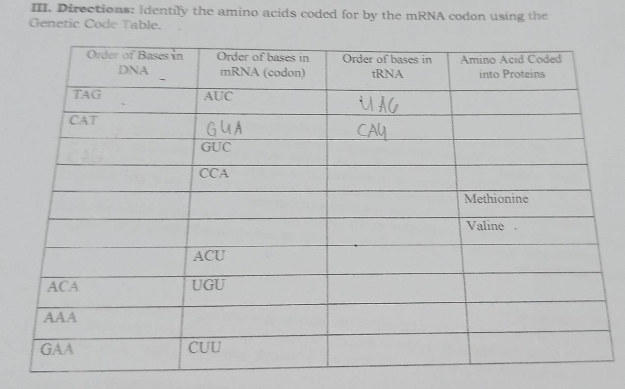 Directions: Identily the amino acids coded for by the mRNA codon using the 
Genetic Code Table.