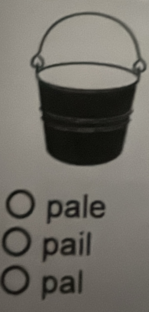 pale 
pail 
pal