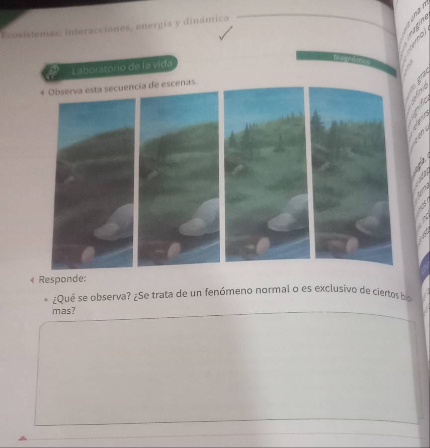 Ecosistemas: interacciones, energía y dinámica 
Laboratorio de la vida 
D 
as. 
Responde: 
¿Qué se observa? ¿Se trata de un fenómeno normal o es exclusivo de ciertos bio 
mas?