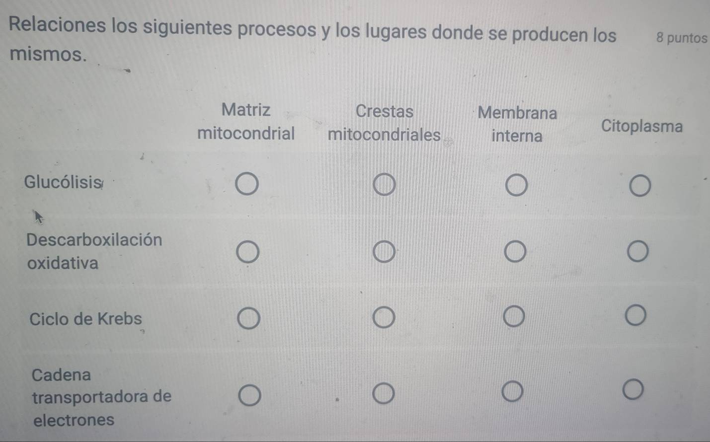 Relaciones los siguientes procesos y los lugares donde se producen los 8 puntos 
mismos.