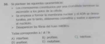 Se plantean las siguientes características
* Los cromosomas constituídos por una cromátida temasan su
ascensión a los polos de la oftula.
Se empisza a formar la membrana nuclear y el ADN se desna
turalkza, por lo tanto, obtenemos cromatina y vueive a aparecer
el nuciéolo
Desaparecen las fibras del huso mitótico.
Todas corresponden a / al / la
A) interfase. B) profase. C) telofase.
D) anafase. E) metafase.