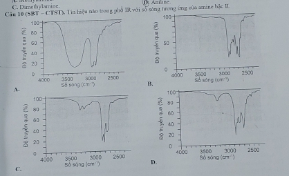 Dimethylamine.
Câu 10 (SBT - CTST). Tin hiệu nào trong phổ IR với số sóng tượng ứng của amine bắc II.
A. 
100-
80
F 60
40
20
0
4000 3500 3000
Sở sōng (cm^(-1)) 2500
D.