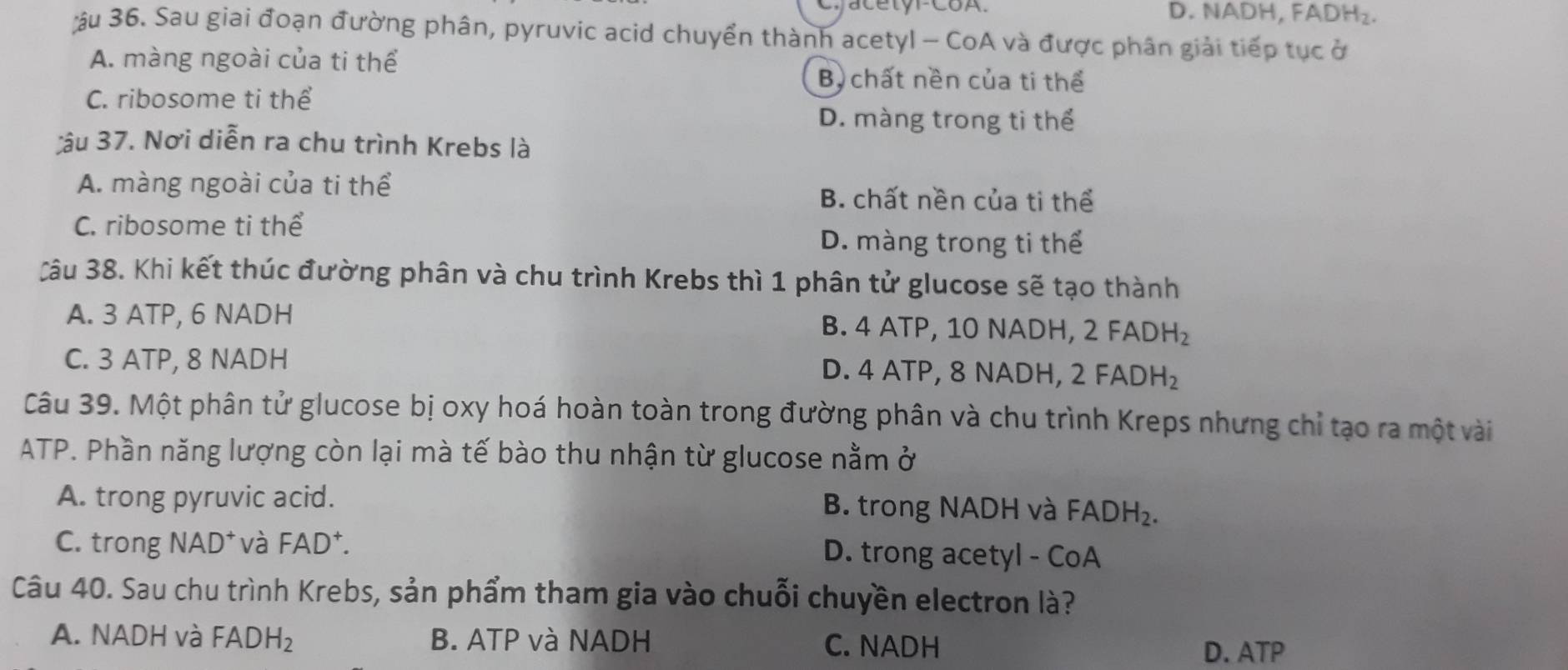 ja cetóFCoA. D. NADH, F ADH_2 
ậu 36. Sau giai đoạn đường phân, pyruvic acid chuyển thành acetyl - CoA và được phân giải tiếp tục ở
A. màng ngoài của ti thể
Bộ chất nền của ti thể
C. ribosome ti thể
D. màng trong ti thể
;ậu 37. Nơi diễn ra chu trình Krebs là
A. màng ngoài của ti thể B. chất nền của ti thể
C. ribosome ti thể
D. màng trong ti thể
Câu 38. Khi kết thúc đường phân và chu trình Krebs thì 1 phân tử glucose sẽ tạo thành
A. 3 ATP, 6 NADH B. 4 ATP, 10 NADH, 2 FADH_2
C. 3 ATP, 8 NADH D. 4 ATP, 8 NADH, 2FADH_2
Câu 39. Một phân tử glucose bị oxy hoá hoàn toàn trong đường phân và chu trình Kreps nhưng chỉ tạo ra một vài
ATP. Phần năng lượng còn lại mà tế bào thu nhận từ glucose nằm ở
A. trong pyruvic acid. B. trong NADH và FADH_2.
C. trong NAD* và FAD⁺. D. trong acetyl - CoA
Câu 40. Sau chu trình Krebs, sản phẩm tham gia vào chuỗi chuyền electron là?
A. NADH và FADH_2 B. ATP và NADH C. NADH
D. ATP