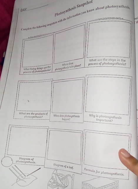Photosynthesis Snapshot 
DAY: 
e information you know about photosynthesi 
60 
「 t 
What are the products of When does photosynthesis Why is photosynthesis 
photosynthesis? happen? important? 
Diagram of 
photosynthesis. 
Diagram of a leaf. Formula for photosynthesis.