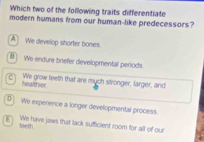 Which two of the following traits differentiate
modern humans from our human-like predecessors?
A We develop shorter bones.
B We endure briefer developmental periods.
C We grow teeth that are much stronger, larger, and
healthier
D] We experience a longer developmental process.
E We have jaws that lack sufficient room for all of our
teeth