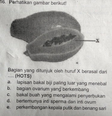 Perhatikan gambar berikut!
Bagian yang ditunjuk oleh huruf X berasal dari
… (HOTS)
a. lapisan bakal biji paling luar yang menebal
b. bagian ovarium yang berkembang
c. bakal buah yang mengalami penyerbukan
d. bertemunya inti sperma dan inti ovum
e. perkembangan kepala putik dan benang sari