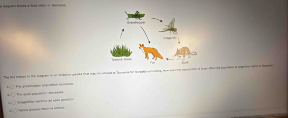 Solved: diagram shows a food chain in Tasmania. The fox shown in the ...