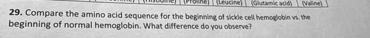 (Proline) | (Leucine) (Glutamic acid) (Valine) 
29. Compare the amino acid sequence for the beginning of sickle cell hemoglobin vs. the 
beginning of normal hemoglobin. What difference do you observe?