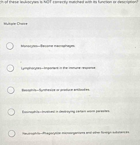 ch of these leukocytes is NOT correctly matched with its function or description?
Multiple Choice
Monocytes—Become macrophages
Lymphocytes—Important in the immune response.
Basophils—Synthesize or produce antibodies.
Eosinophils—Involved in destroying certain worm parasites.
Neutrophils—Phagocytize microorganisms and other foreign substances.