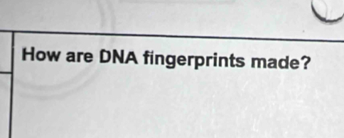 How are DNA fingerprints made?