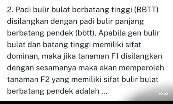 Padi bulir bulat berbatang tinggi (BBTT) 
disilangkan dengan padi bulir panjang 
berbatang pendek (bbtt). Apabila gen bulir 
bulat dan batang tinggi memiliki sifat 
dominan, maka jika tanaman F1 disilangkan 
dengan sesamanya maka akan memperoleh 
tanaman F2 yang memiliki sifat bulir bulat 
berbatang pendek adalah ...
10.33