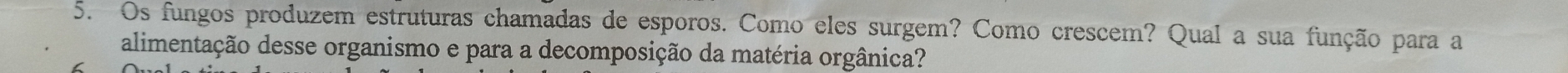 Os fungos produzem estruturas chamadas de esporos. Como eles surgem? Como crescem? Qual a sua função para a 
alimentação desse organismo e para a decomposição da matéria orgânica?