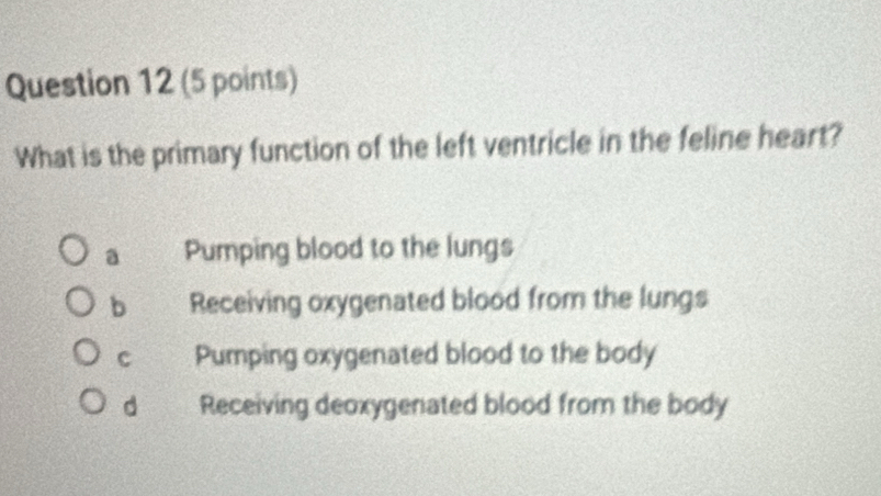 What is the primary function of the left ventricle in the feline heart?
a Pumping blood to the lungs
b Receiving oxygenated blood from the lungs
c Pumping oxygenated blood to the body
d Receiving deoxygenated blood from the body