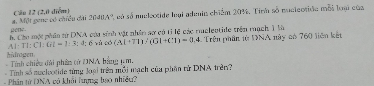 (2,0 điểm) 
a. Một gene có chiều dài 2040A° 2, có số nucleotide loại adenin chiếm 20%. Tính số nucleotide mỗi loại của 
gene. 
b. Cho một phân tử DNA của sinh vật nhân sơ có tỉ lệ các nucleotide trên mạch 1 là 
A1: T1: C1:G1=1:3:4:6 và 1 co(A1+T1)/(G1+C1)=0,4. Trên phân tử DNA này có 760 liên kết 
hidrogen. 
- Tính chiều dài phân tử DNA bằng μm. 
- Tính số nucleotide từng loại trên mỗi mạch của phân tử DNA trên? 
- Phân tử DNA có khối lượng bao nhiêu?