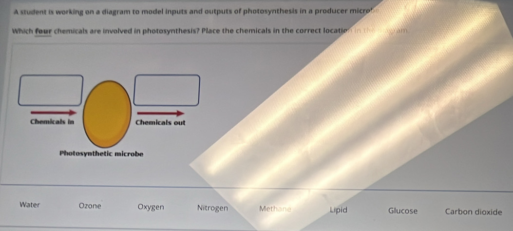 A student is working on a diagram to model inputs and outputs of photosynthesis in a producer micro
Which four chemicals are involved in photosynthesis? Place the chemicals in the correct location in the n m gr am
Chemicals in Chemicals out
Photosynthetic microbe
Water Ozone Oxygen Nitrogen Methane Lipid Glucose Carbon dioxide