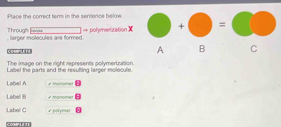 Solved: Place the correct term in the sentence below. Through hbhjkk ...