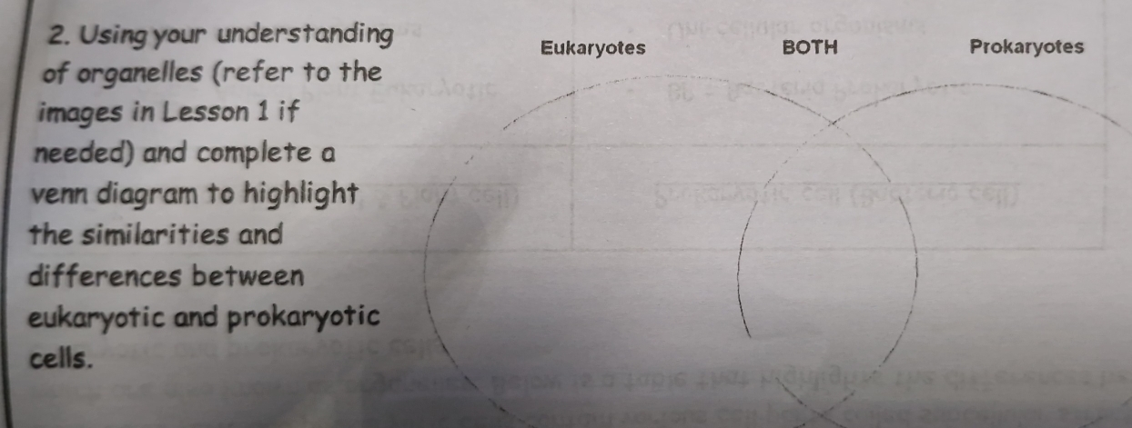 Using your understanding Prokaryotes 
Eukaryotes BOTH 
of organelles (refer to the 
images in Lesson 1 if 
needed) and complete a 
venn diagram to highlight 
the similarities and 
differences between 
eukaryotic and prokaryotic 
cells.