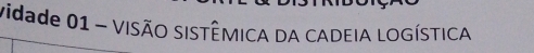 vidade 01 - VISÃO SISTÊMICA DA CADEIA LOGÍSTICA