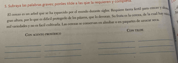 Subraya las palabras graves; ponles tilde a las que la requieren y completa. 

El cerezo es un arbol que se ha esparcido por el mundo durante siglos. Requiere tierra fertil para crecer y a 
gran altura, por lo que es dificil protegerlo de los pájaros, que lo devoran. Su fruta es la cereza, de la cual hay má fer 
mil variedades y no es facil cultivarla. Las cerezas se conservan en almibar o en paquetes de azucar seca. 
Con acento prosódico Con tilde 
_ 
_ 
_ 
. 
_ 
_ 
_ 
_ 
_ 
_ 
_ 
_ 
_