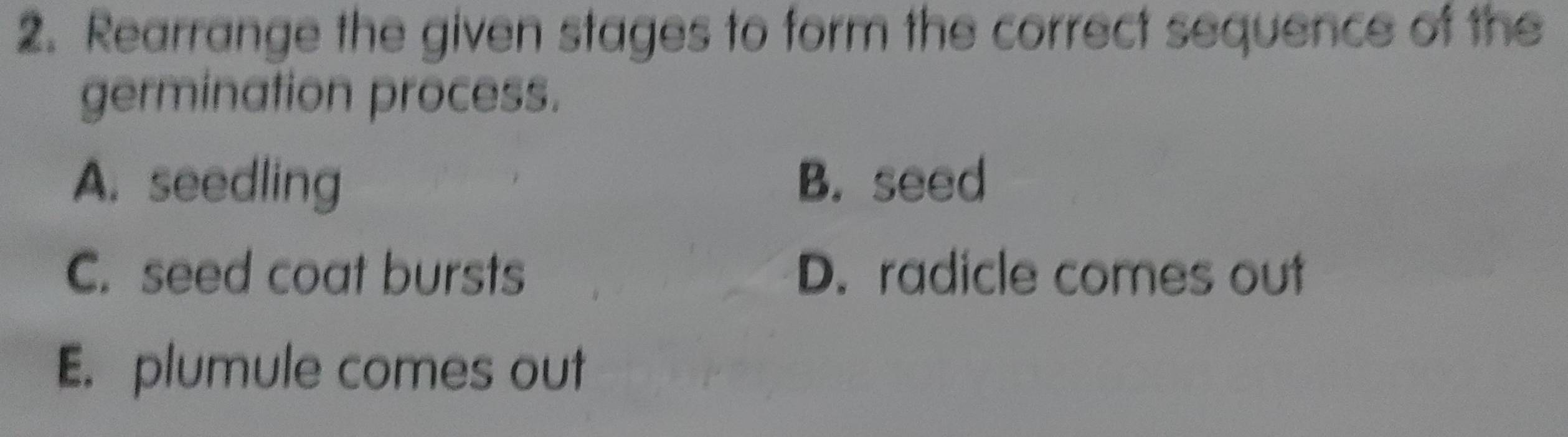 Rearrange the given stages to form the correct sequence of the
germination process.
A. seedling B. seed
C. seed coat bursts D. radicle comes out
E. plumule comes out