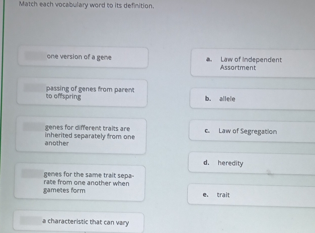 Match each vocabulary word to its definition.
one version of a gene a. Law of Independent
Assortment
passing of genes from parent
to offspring b. allele
genes for different traits are c. Law of Segregation
inherited separately from one
another
d. heredity
genes for the same trait sepa-
rate from one another when
gametes form e. trait
a characteristic that can vary