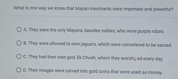 What is one way we know that Mayan merchants were important and powerful?
A. They were the only Mayans, besides nobles, who wore purple robes.
B. They were allowed to own jaguars, which were considered to be sacred.
C. They had their own god, Ek Chuah, whom they worshiped every day.
D. Their images were carved into gold coins that were used as money.