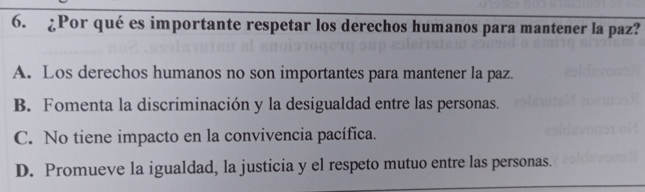 ¿Por qué es importante respetar los derechos humanos para mantener la paz?
A. Los derechos humanos no son importantes para mantener la paz.
B. Fomenta la discriminación y la desigualdad entre las personas.
C. No tiene impacto en la convivencia pacífica.
D. Promueve la igualdad, la justicia y el respeto mutuo entre las personas.