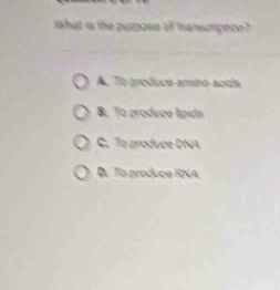 that is the pumase of transpose?
A. Te produce amino acids.
B. To produce típida
C. To produce DNA
D. To produce RNA