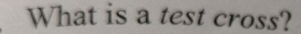 What is a test cross?