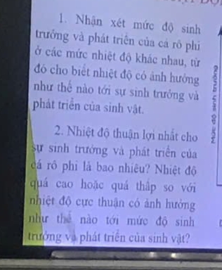 Nhận xét mức độ sinh 
trưởng và phát triển của cá rô phi 
ở các mức nhiệt độ khác nhau, từ 
đó cho biết nhiệt độ có ảnh hưởng 2 
như thế nào tới sự sinh trưởng và 
phát triển của sinh vật. 
2. Nhiệt độ thuận lợi nhất cho 
sự sinh trưởng và phát triển của 
đá rồ phi là bao nhiêu? Nhiệt độ 
quá cao hoặc quá thập so với 
nhiệt độ cực thuận có ảnh hưởng 
như thể nào tới mức độ sinh 
trưởng và phát triển của sinh vật?