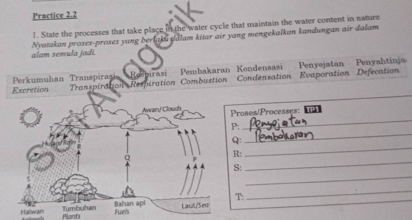 Practice 2.2 
1. State the processes that take place in the water cycle that maintain the water content in nature 
Nyatakan proses-proses yang berlaku dalam kitar air yang mengekalkan kandungan air dalam 
alam semula jadi. 
Perkumuhan Transpirașsi Respirasi Pembakaran Kondensasi Penyejatan Penyahtinja 
Excretion Transpiration Respiration Combustion Condensation Evaporation Defecation 
TP1 
oses/Processes: 
: 
_ 
: 
_ 
: 
_ 
S: 
_ 
_ 
T: 
_ 
Plants