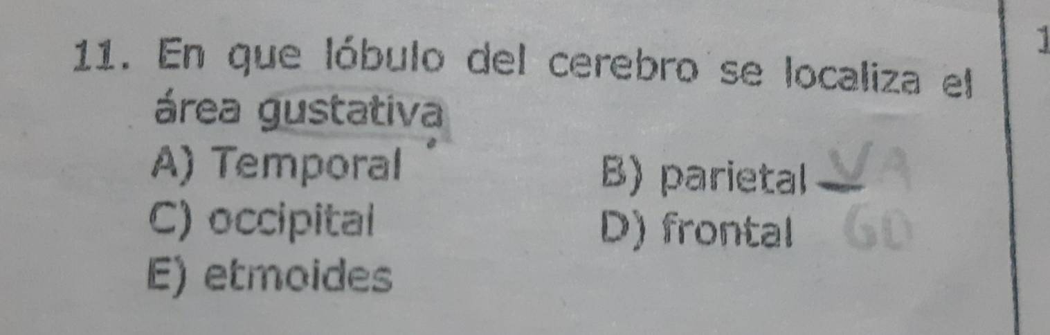 1
11. En que lóbulo del cerebro se localiza el
área gustativa
A) Temporal B) parietal
C) occipital D) frontal
E) etmoides