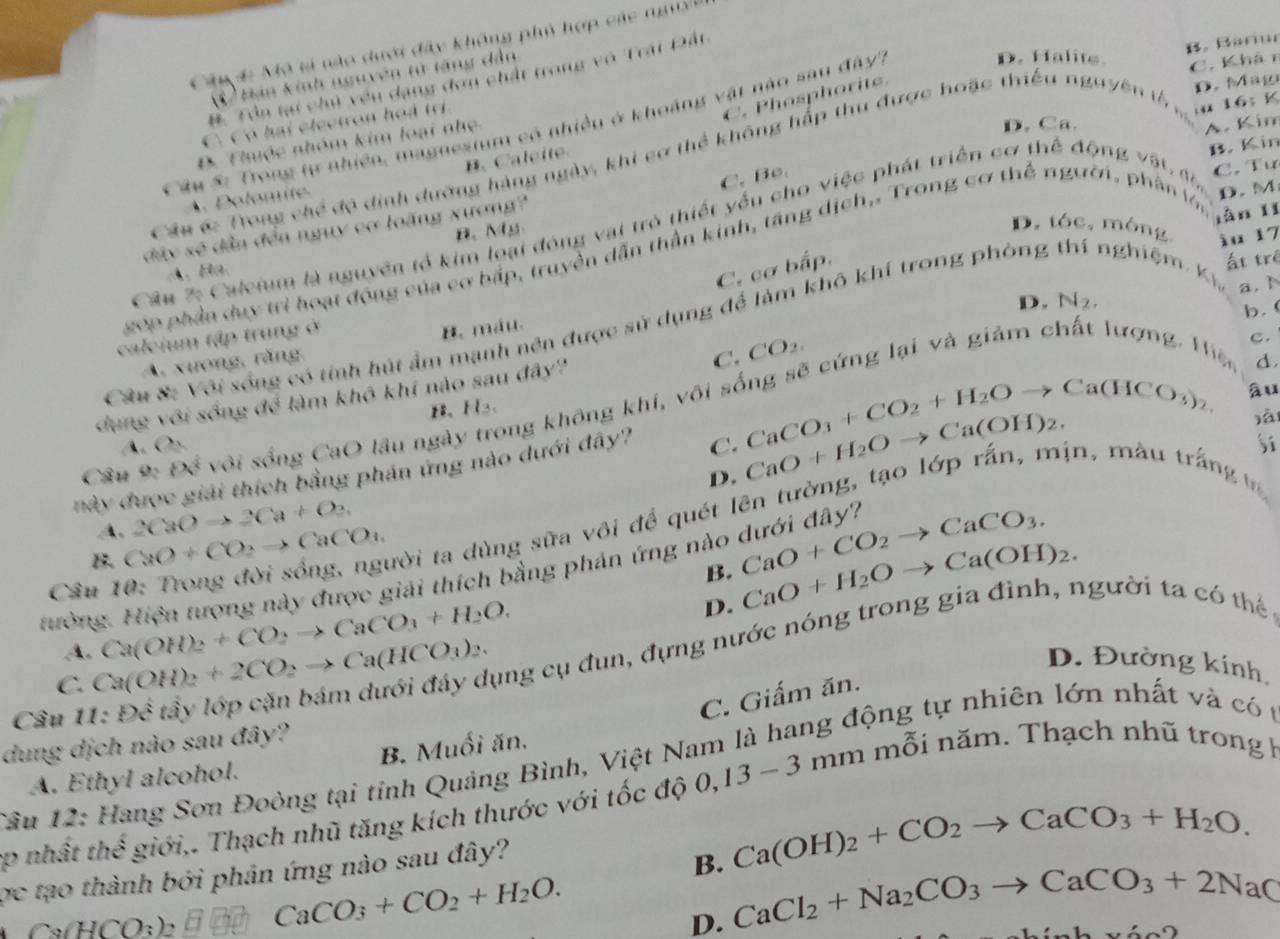 B. B aru
Câu 4i Mô tả nào dưới đây không phủ hợp các nguyi
V) Hản kinh nguyên từ tăng dân
C. Khâ r
B. Tôn tại chủ vêu dạng đơn chất trong vô Trái Đất
C .   oph oi
D. Mag
D. Ca. A. Kim
C. Có hai electron hoả trị
Câu S: Trong lự nhiên, magnesium có nhiều ở khoảng vật nào sau đây,
D. Halite.
D. Thuộc nhóm kim loại nhẹ
Câu á: Trong 686° độ định dường hàng ngày, khi cơ thể không hấp thu được hoặc thiếu nguyên t
16: K
B  C  c ite
B. Kin
C. Bc.
C. Tư
A. Dolomite.
d (x)xe^3 dần đến ngụy cơ loãng xương?
làn lǐ
B. Mg.
D. tóc, móng iu 17
Câu & Caleium là nguyên tổ kim loại đóng vai trò thiết yếu cho việc phát triển cơ thể động vật đi,
góp phầa duy trì hoạt động của cơ bấp, truyền dẫn thần kinh, tăng dịch,, Trong cơ thể người, phần l D. M
A. Ha.
C. cơ bấp.
ất trê
D. N_2.
b.
B. máu.
Cầu &: Với sống có tính hút ẩm mạnh nên được sử dụng để làm khô khí trong phòng nghiệm. kh a. 1
caleium tập trung ở
C.
A. xương, răng,
C. CO_2. Tiện d
dụ ng với sống f_b # làm khô khí nào sau đây?
B、H
Câu 9:8x^4 vôi sống CaO lâu ngày trong không khí, vôi số
A. O₂. jà
Si
này được giải thích bằng phản ứng nào dưới đây? C. CaO+H_2Oto Ca(OH)_2. CaCO_3+CO_2+H_2Oto Ca(HC_3)_2 âu
A. 2CaOto 2Ca+O_2 D.
Câu 10: Trong đời sống, người ta dùng sữa vôi để quét lên tường, tạo lớp rấn, mịn, màu trắng v
B. CaO+CO_2to CaCO_3.
B.
tưởng. Hiện tượng này được giải thích bằng phản ứng nào dưới đây? CaO+CO_2to CaCO_3.
D. CaO+H_2Oto Ca(OH)_2.
A. Ca(OH)_2+CO_2to CaCO_3+H_2O.
Câu 11:Dhat e lấy lớp cặn bám dưới đây dụng cụ đun, đựng nước nóng trong gia đình, người ta có thể
C. Ca(OH)_2+2CO_2to Ca(HCO_3)_2.
D. Đường kính,
C. Giấm ăn.
dung dịch nào sau đây?
Cầu 12: Hang Sơn Đoòng tại tỉnh Quảng Bình, Việt Nam là hang động tự nhiên lớn nhất và có t
A. Ethyl alcohol. B. Muối ăn,
ep nhất thế giới,. Thạch nhũ tăng kích thước với tốc độ 0,13-3mm mỗi năm. Thạch nhũ trong 1
ợc tạo thành bởi phản ứng nào sau đây?
B. Ca(OH)_2+CO_2to CaCO_3+H_2O.
Ca/HCO_3)_2 CaCO_3+CO_2+H_2O.
D. CaCl_2+Na_2CO_3to CaCO_3+2NaC