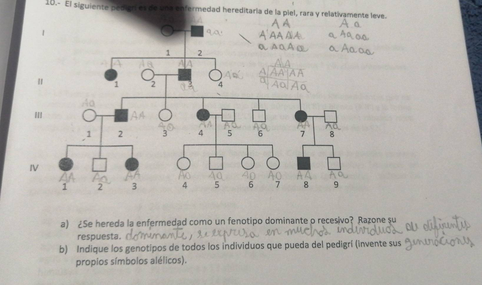 10.- El siguiente pedigri es de una enfermedad hereditaria de la piel, rara y relativamente leve. 
a) ¿Se hereda la enfermedad como un fenotipo dominante o recesivo? Razone su 
respuesta. 
b) Indique los genotipos de todos los individuos que pueda del pedigrí (invente sus 
propios símbolos alélicos).