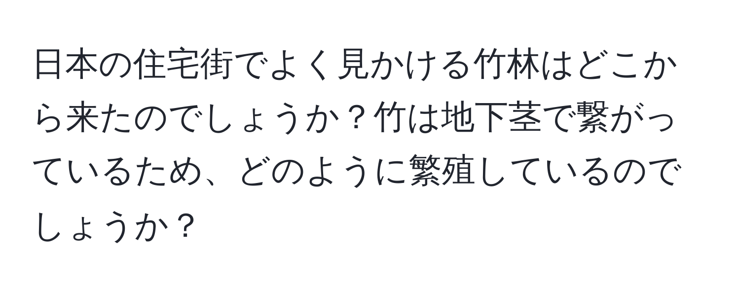 日本の住宅街でよく見かける竹林はどこから来たのでしょうか？竹は地下茎で繋がっているため、どのように繁殖しているのでしょうか？