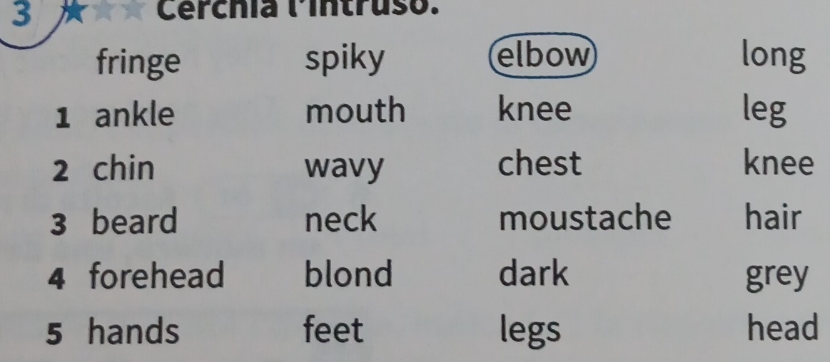 Cerchía lintruso. 
elbow 
fringe spiky long 
1 ankle mouth knee leg 
2 chin wavy chest knee 
3 beard neck moustache hair 
4 forehead blond dark grey 
5 hands feet legs head