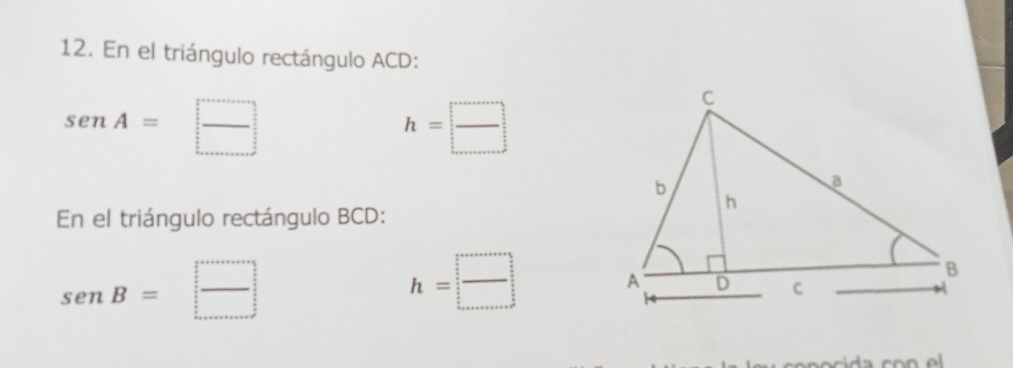 En el triángulo rectángulo ACD :
senA=□ _
h=□
En el triángulo rectángulo BCD : 
□ 
senB=
_
h=□