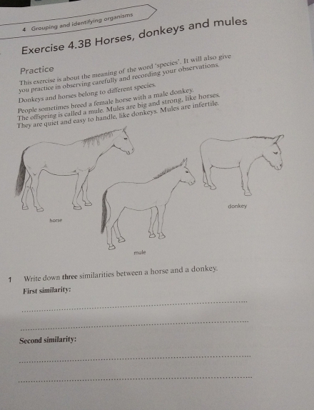 Grouping and identifying organisms 
Exercise 4.3B Horses, donkeys and mules 
Practice 
This exercise is about the meaning of the word ‘species’. It will also give 
you practice in observing carefully and recording your observations 
Donkeys and horses belong to different species. 
People sometimes breed a female horse with a male donkey. 
The offspring is called a mule. Mules are big and strong, like horses. 
easy to handle, like donkeys. Mules are infertile. 
1 Write down three similarities between a horse and a donkey. 
First similarity: 
_ 
_ 
Second similarity: 
_ 
_