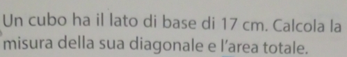 Un cubo ha il lato di base di 17 cm. Calcola la 
misura della sua diagonale e l’area totale.