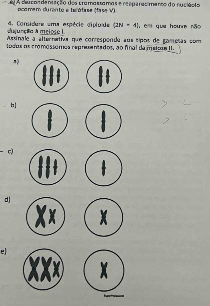 A descondensação dos cromossomos e reaparecimento do nucléolo
ocorrem durante a telófase (fase V).
4. Considere uma espécie diploide (2N=4) , em que houve não
disjunção à meiose I.
Assinale a alternativa que corresponde aos tipos de gametas com
todos os cromossomos representados, ao final da meiose II.
a)
b)
c)
d)
e)
X