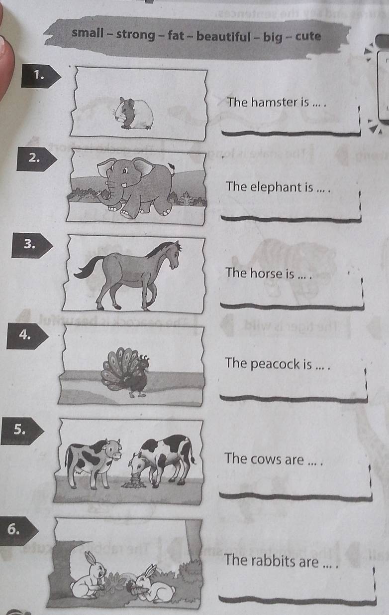 small - strong - fat - beautiful - big - cute 
1. 
The hamster is ... . 
2. 
The elephant is ... . 
3. 
The horse is ... . 
4. 
The peacock is ... . 
5. 
The cows are ... . 
6. 
The rabbits are ... .