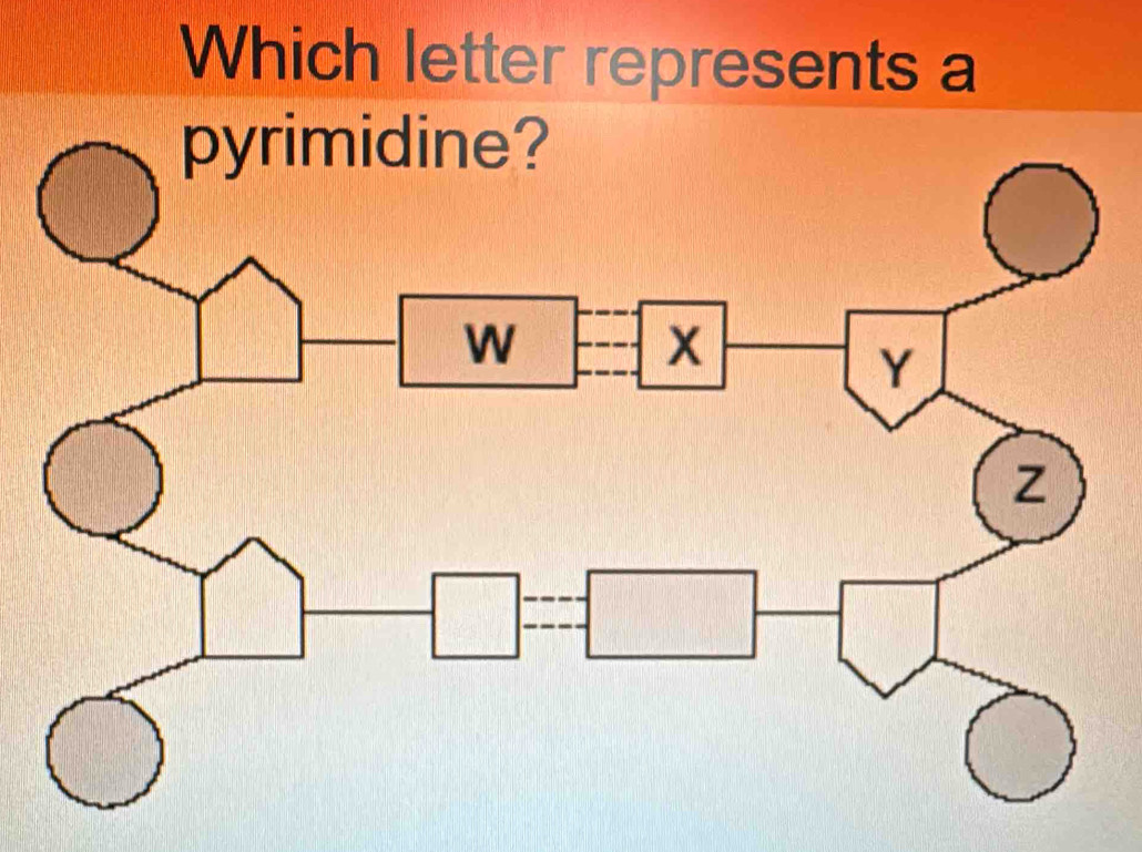 Which letter represents a