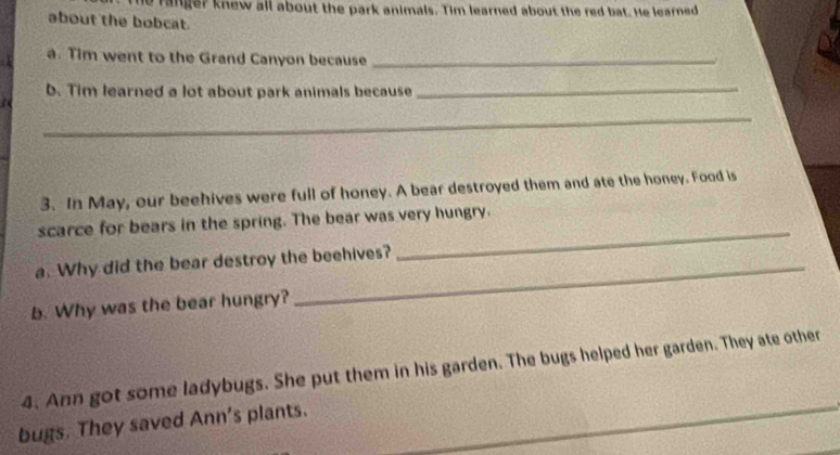 ranger knew all about the park animals. Tim learned about the red bat. He learned 
about the bobcat. 
a. Tim went to the Grand Canyon because_ 
b. Tim learned a lot about park animals because_ 
_ 
3. In May, our beehives were full of honey. A bear destroyed them and ate the honey. Food is 
_ 
scarce for bears in the spring. The bear was very hungry. 
a. Why did the bear destroy the beehives? 
b. Why was the bear hungry? 
4. Ann got some ladybugs. She put them in his garden. The bugs helped her garden. They ate other 
bugs. They saved Ann's plants.