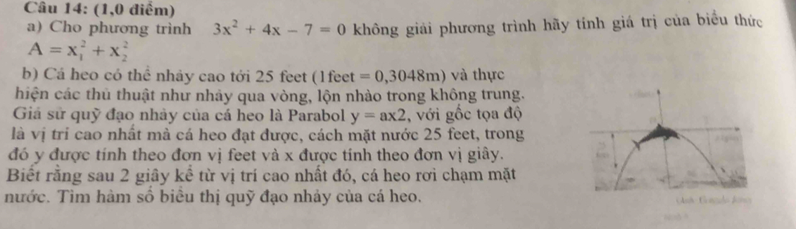 (1,0 điểm) 
a) Cho phương trình 3x^2+4x-7=0 không giải phương trình hãy tính giá trị của biểu thức
A=x_1^2+x_2^2
b) Cá heo có thể nhảy cao tới 25 feet (1feet =0,3048m) và thực 
hiện các thủ thuật như nhảy qua vòng, lộn nhào trong không trung. 
Giá sử quỹ đạo nhảy của cá heo là Parabol y=ax2 , với gốc tọa độ 
là vị trí cao nhất mà cá heo đạt được, cách mặt nước 25 feet, trong 
đó y được tính theo đơn vị feet và x được tính theo đơn vị giây. 
Biết răng sau 2 giây kể từ vị trí cao nhất đó, cá heo rơi chạm mặt 
nước. Tìm hàm số biểu thị quỹ đạo nhảy của cá heo.