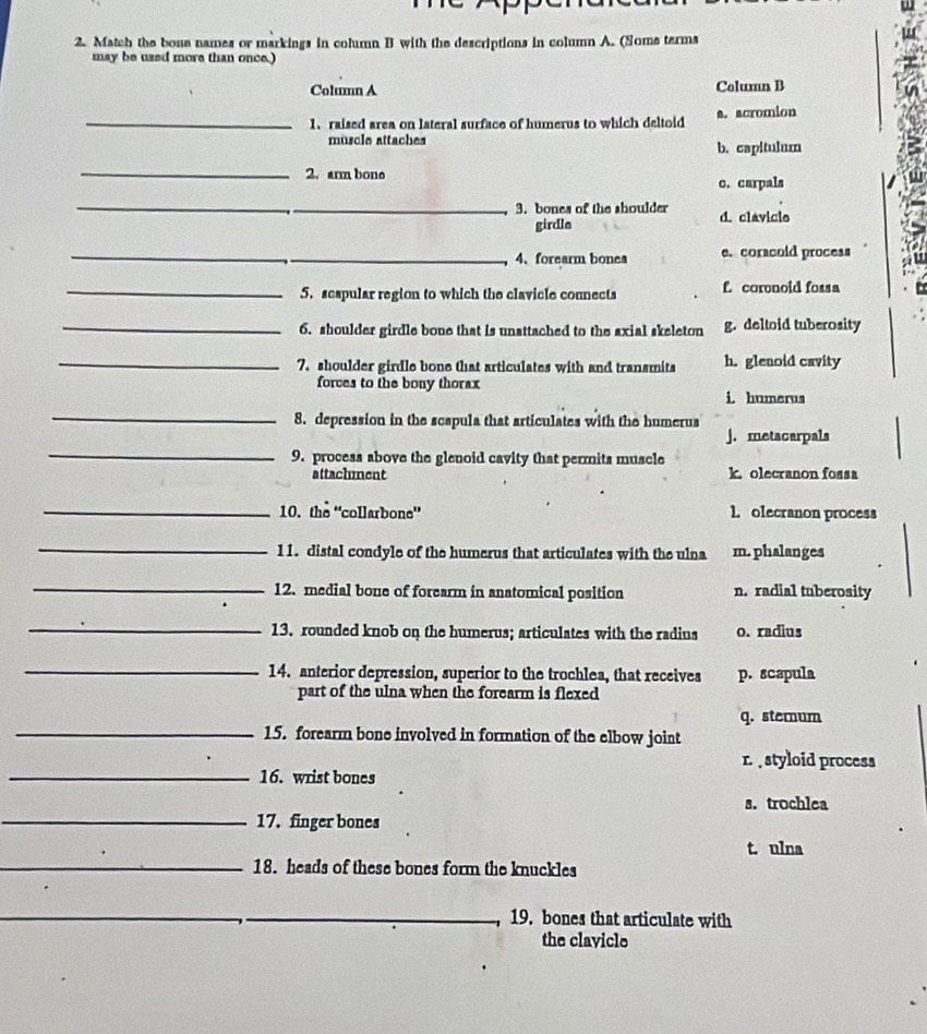 Match the bone names or markings in column B with the descriptions in column A. (Some terms
may be used more than once.)
Column A Column B
_1、 raised area on lateral surface of humerus to which deltoid a. acromion
musclo attaches
b. capitulum
_2. arm bone
c. carpals
_
_3. bones of the shoulder d. clavicle
girdle
_
_4、forearm bonea e. coracoid process
_5. scapular region to which the clavicle connects f. coronoid fossa
_6. shoulder girdle bone that is unattached to the axial skeleton g. deltoid tuberosity
_7. shoulder girdle bone that articulates with and transmits h. glenoid cavity
forces to the bony thorax
_
i. humerus
8. depression in the scapula that articulates with the humerus
_
j. metacarpals
9. process above the glenoid cavity that permits muscle
attachment k. olecranon fossa
_10. the “collarbone” 1. olecranon process
_
11. distal condyle of the humerus that articulates with the ulna m. phalanges
_
12. medial bone of forearm in anatomical position n. radial tuberosity
_13. rounded knob on the humerus; articulates with the radius o. radius
_
14. anterior depression, superior to the trochlea, that receives p. scapula
part of the ulna when the forearm is flexed
_
q. sterum
15. forearm bone involved in formation of the elbow joint
r. , styloid process
_16. wrist bones
s. trochlea
_17. finger bones
t. ulna
_18. heads of these bones form the knuckles
_
_
_
19. bones that articulate with
the clavicle