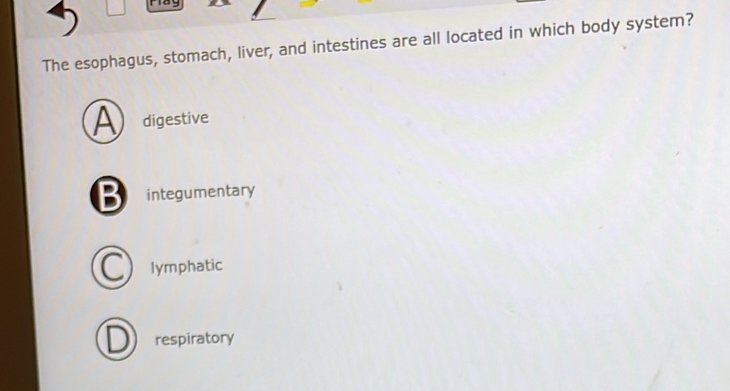 The esophagus, stomach, liver, and intestines are all located in which body system?
A digestive
B integumentary
lymphatic
respiratory