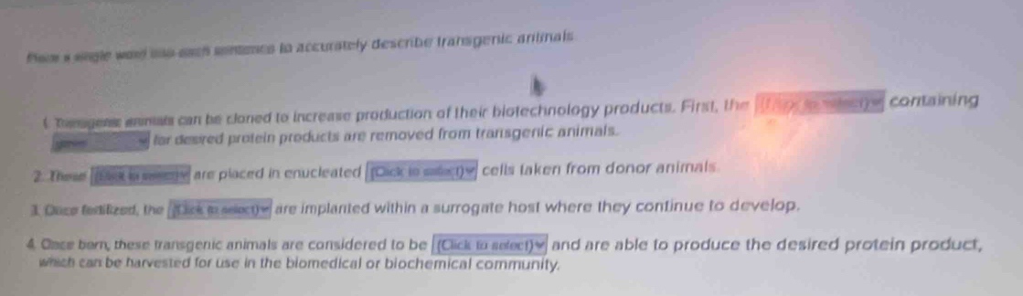 Pleo s sngle wad uso each sontents to accurately describe transgenic antimals 
t Temagess anmats can be cloned to increase production of their biotechnology products. First, the t e io mecte containing 
guà né far desired protein products are removed from transgenic animals. 
2. These (ek n meme are placed in enucleated (Dack is saect)y cells taken from donor animals 
3 Dace fedifized, the Dck i select)w are implanted within a surrogate host where they continue to develop. 
4 Cace bern, these transgenic animals are considered to be (Click to select)] and are able to produce the desired protein product, 
which can be harvested for use in the biomedical or biochemical community.