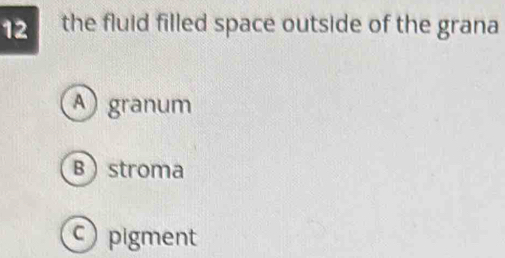 the fluid filled space outside of the grana
A granum
B stroma
pigment