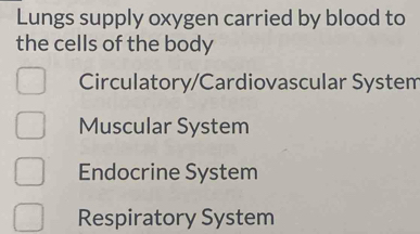 Lungs supply oxygen carried by blood to
the cells of the body
Circulatory/Cardiovascular System
Muscular System
Endocrine System
Respiratory System